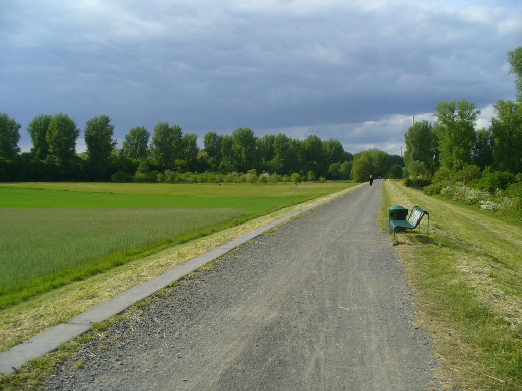 Ferienwohnung Rheinaue Кьолн Екстериор снимка